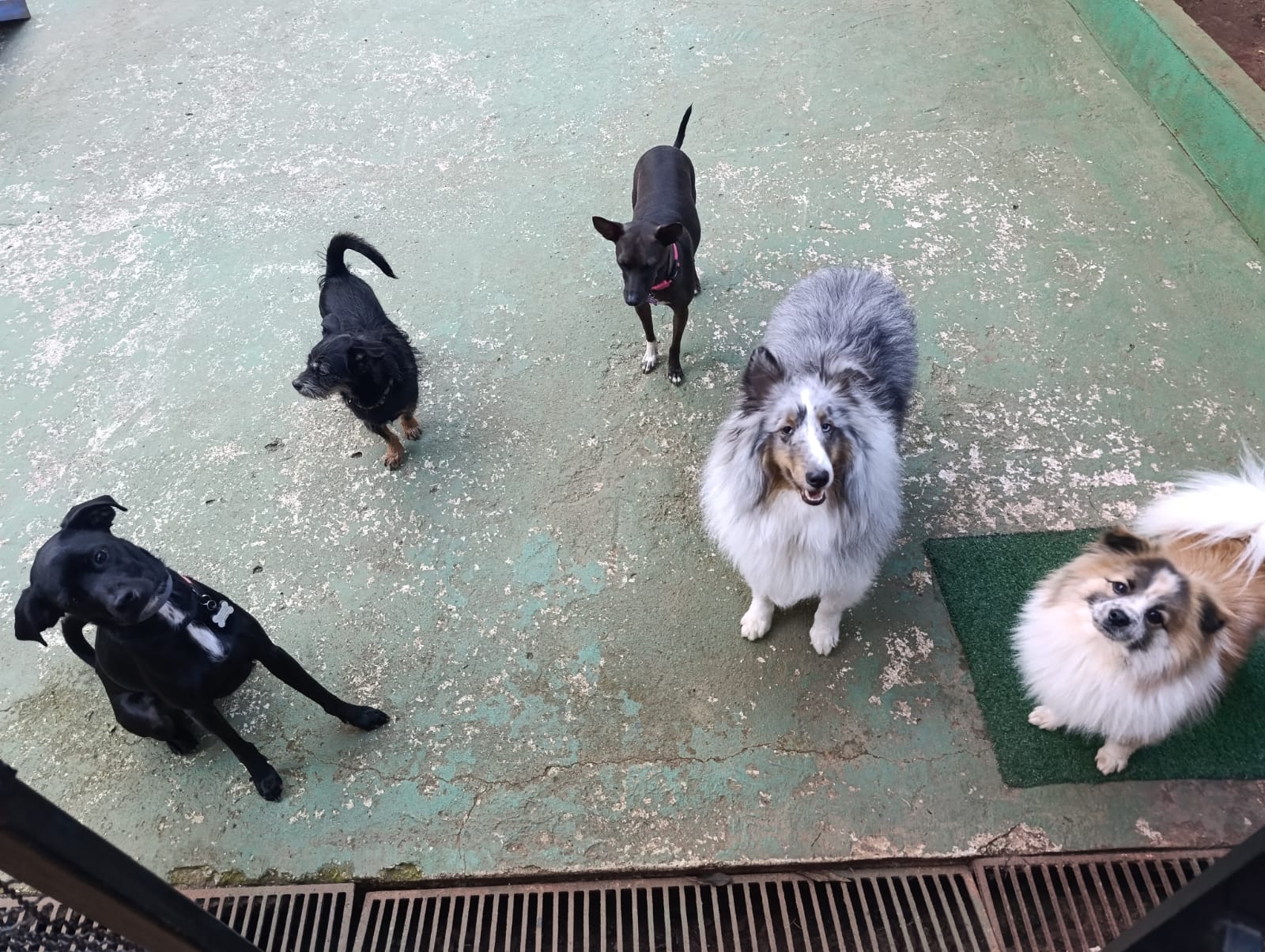 Hora do xixi e coco em turnos 😂