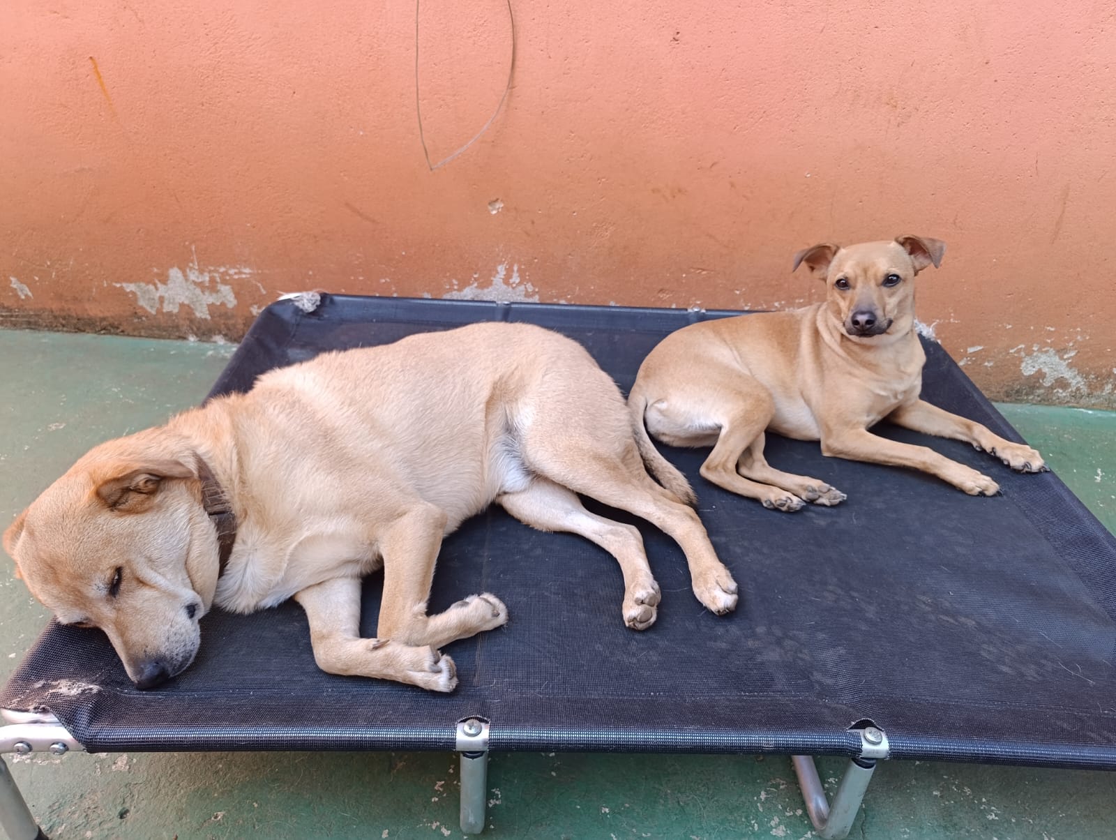 Caramelao e caramelinha 😂