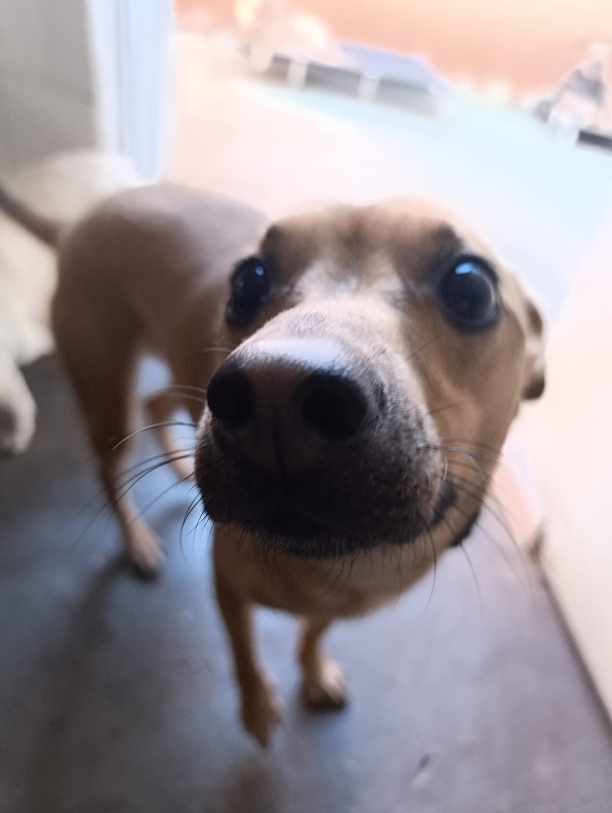 Kyra 🥰