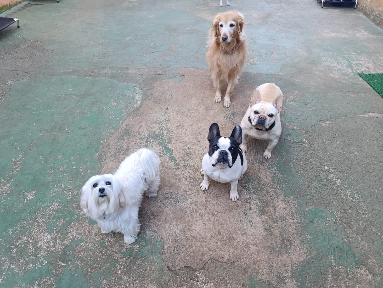 Turma pra ir ao banheiro 1