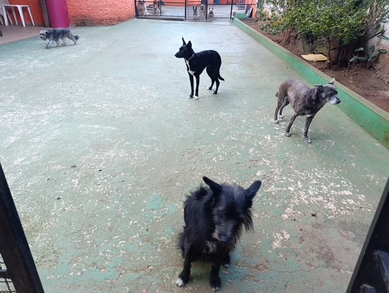 Turma do banheiro 3 
Estavam desentrosados 😂