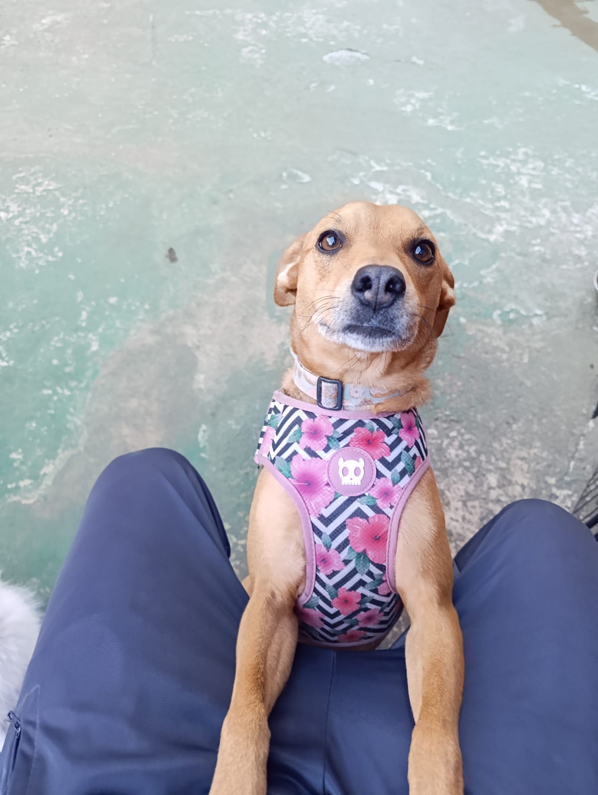 Minha nova amiga 🥰