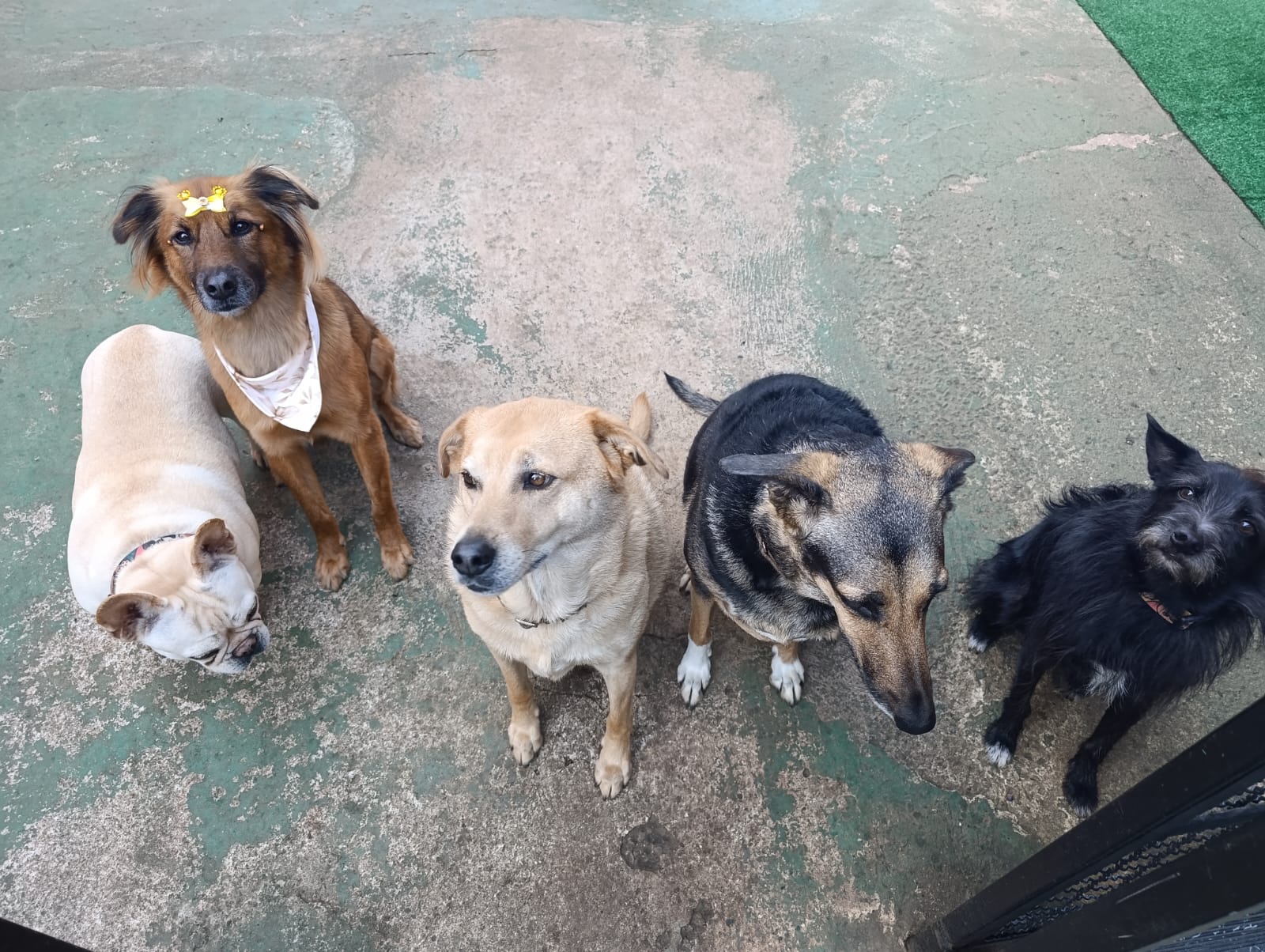 Turma 1 
Ida ao banheiro