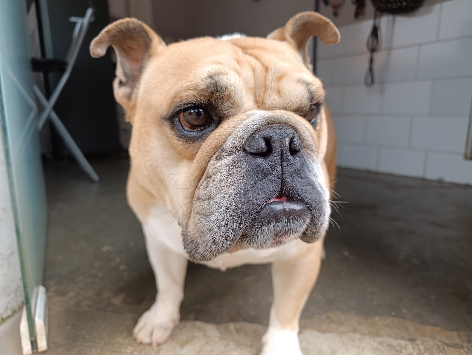 Zeus Birnes