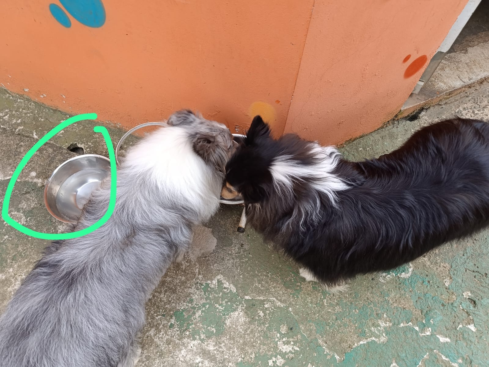 Pra que dividir? 🤣