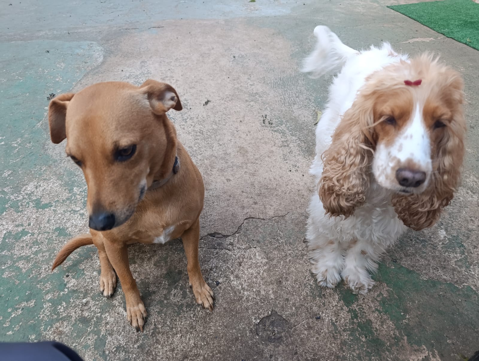 Dora e Julie
