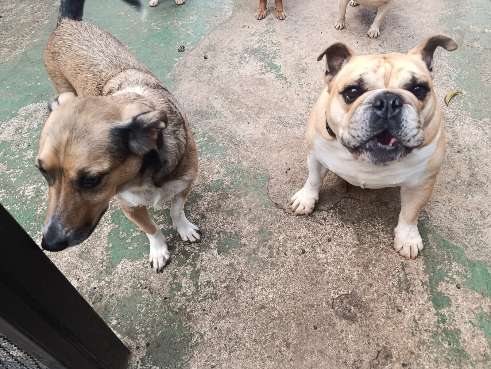 Louis e Zeus
