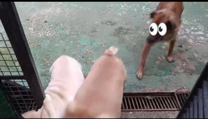@222381259882681