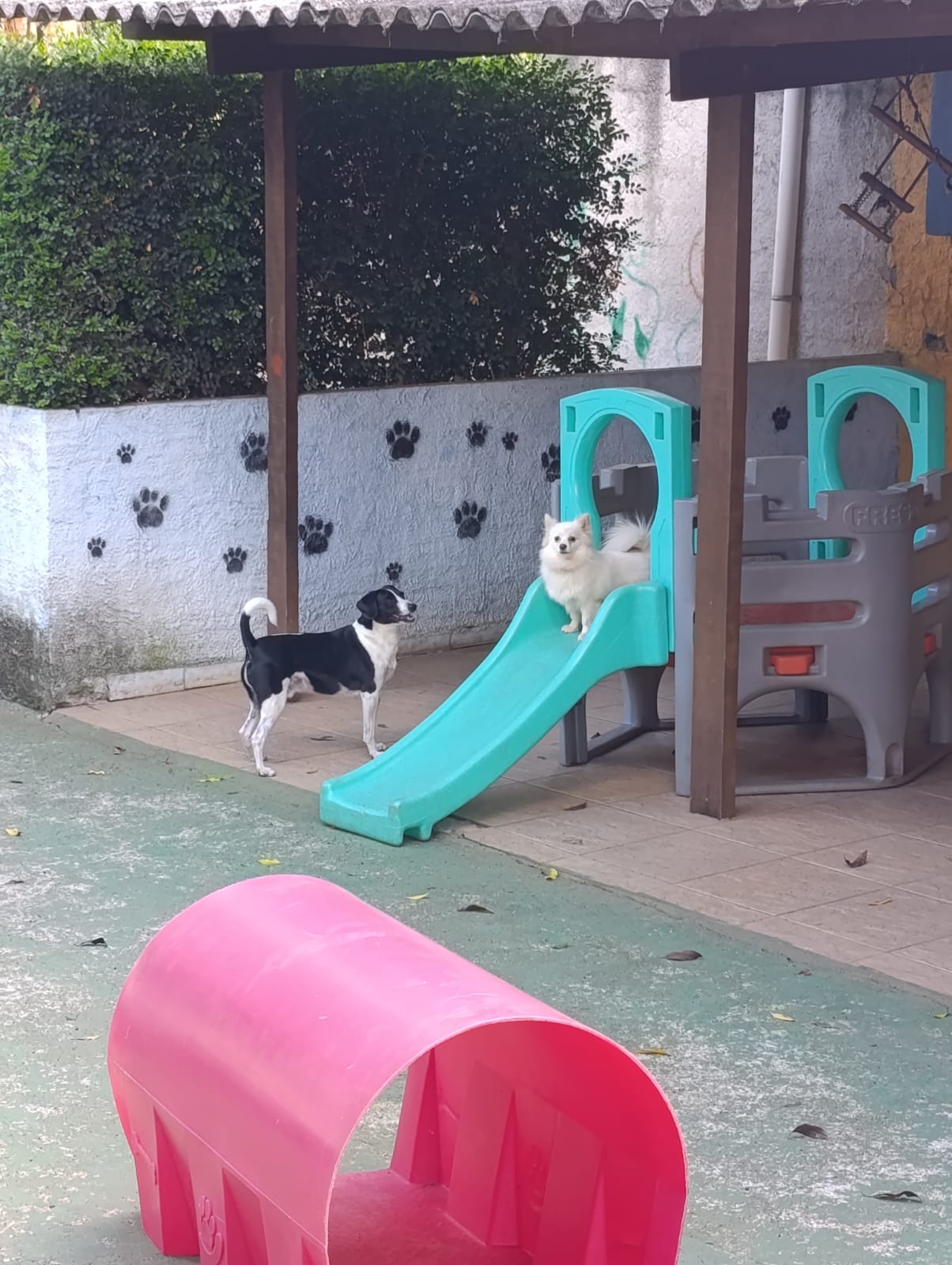 Lulu & Lulu ❤️