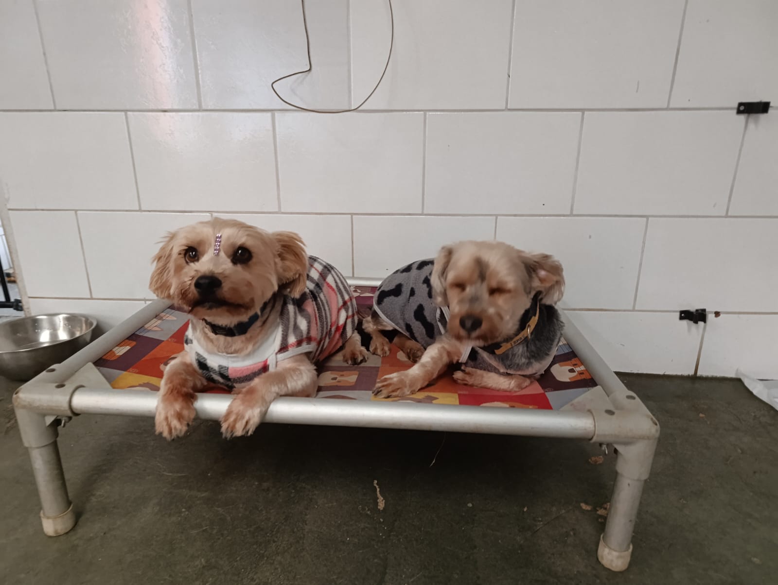 Lola & Charlie