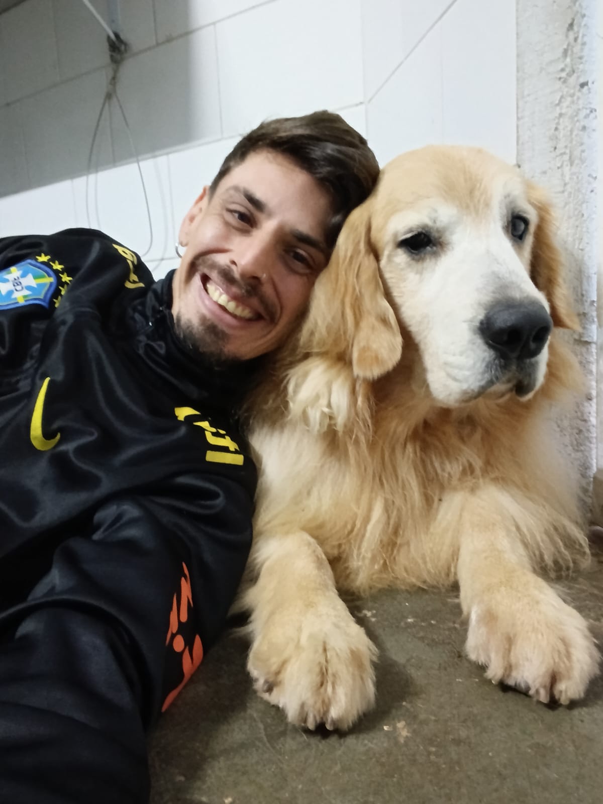 Dodo - sai fora maluco, ta me achando com cara de almofada 😂😂😂