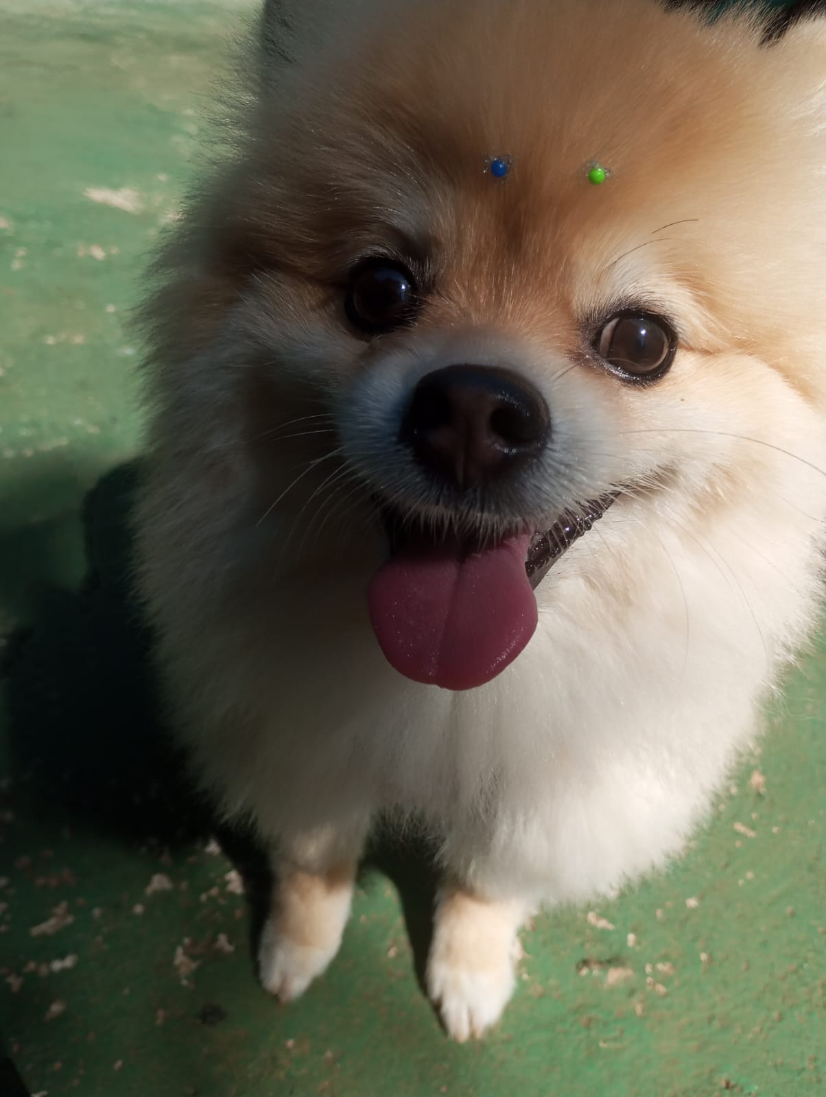Lua