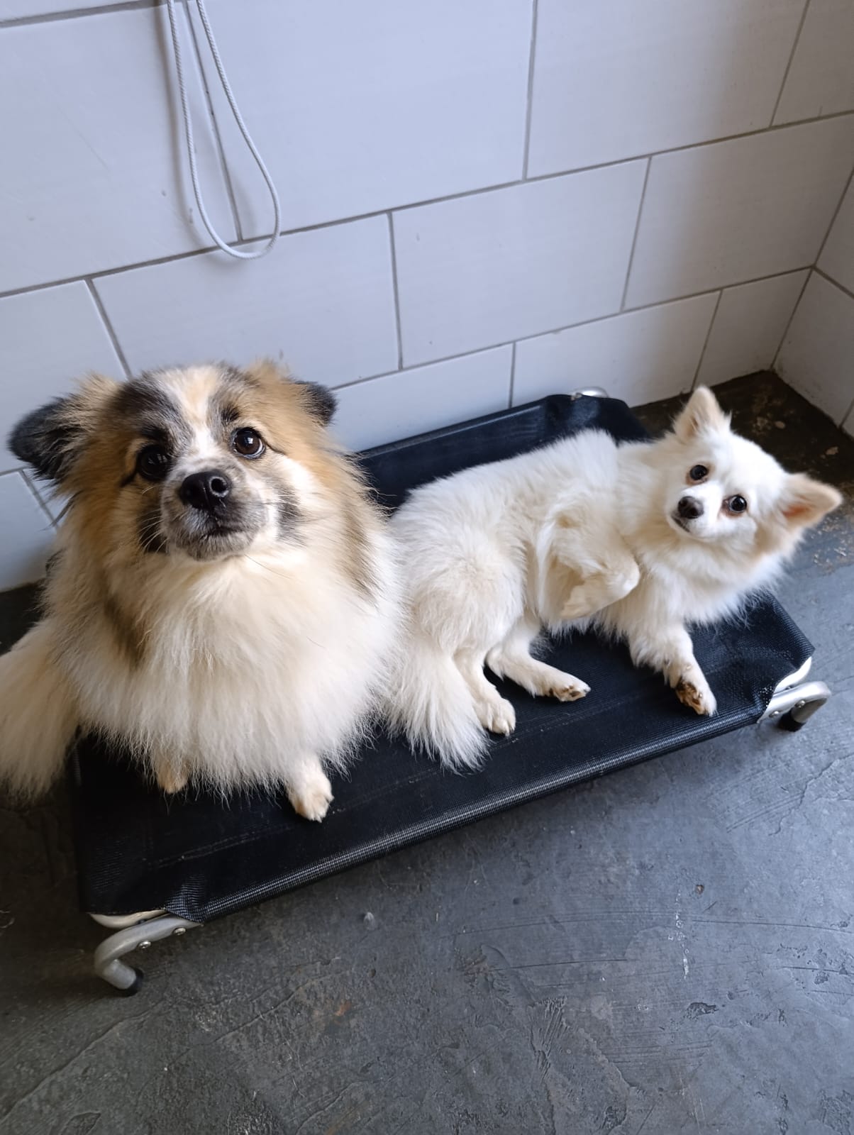 Beto & Luna