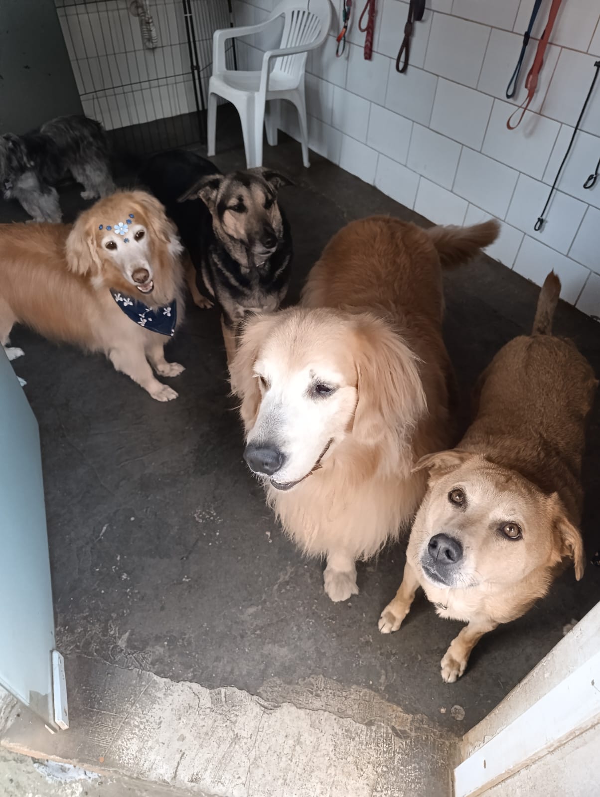 Ida ao banheiro
Turma 1