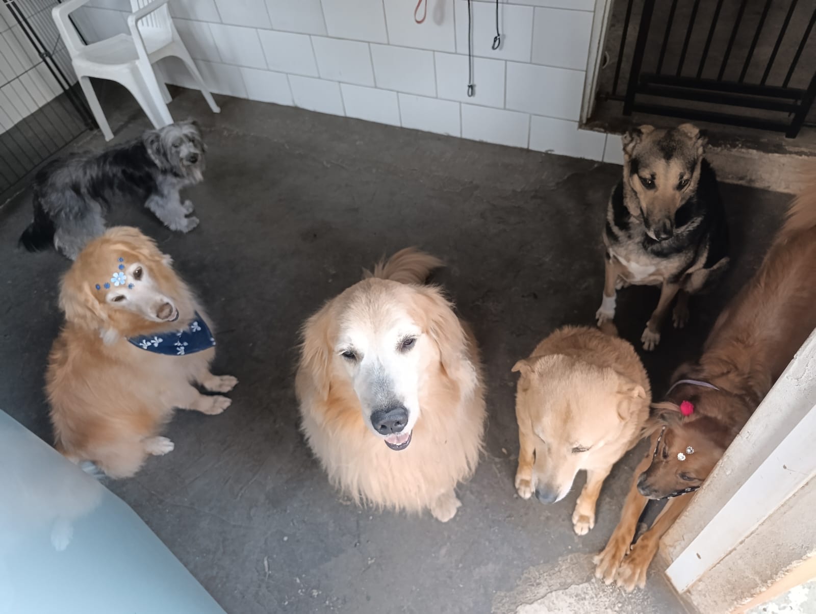 Ida ao banheiro
Turma 1
