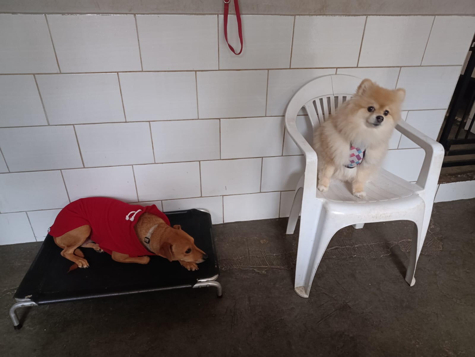 Dora & Lua