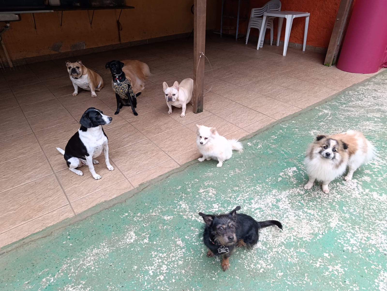 A Turma