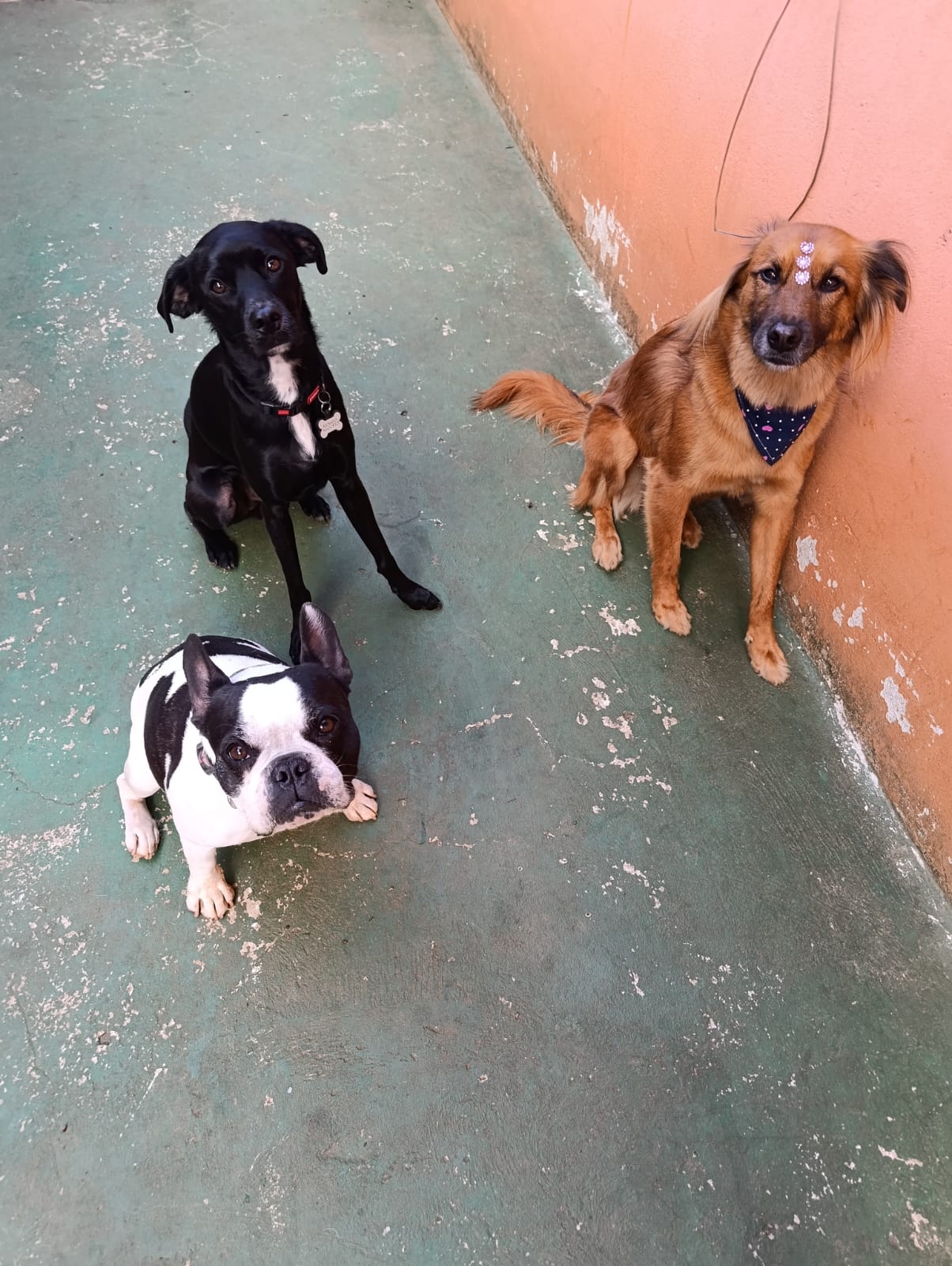 O trio