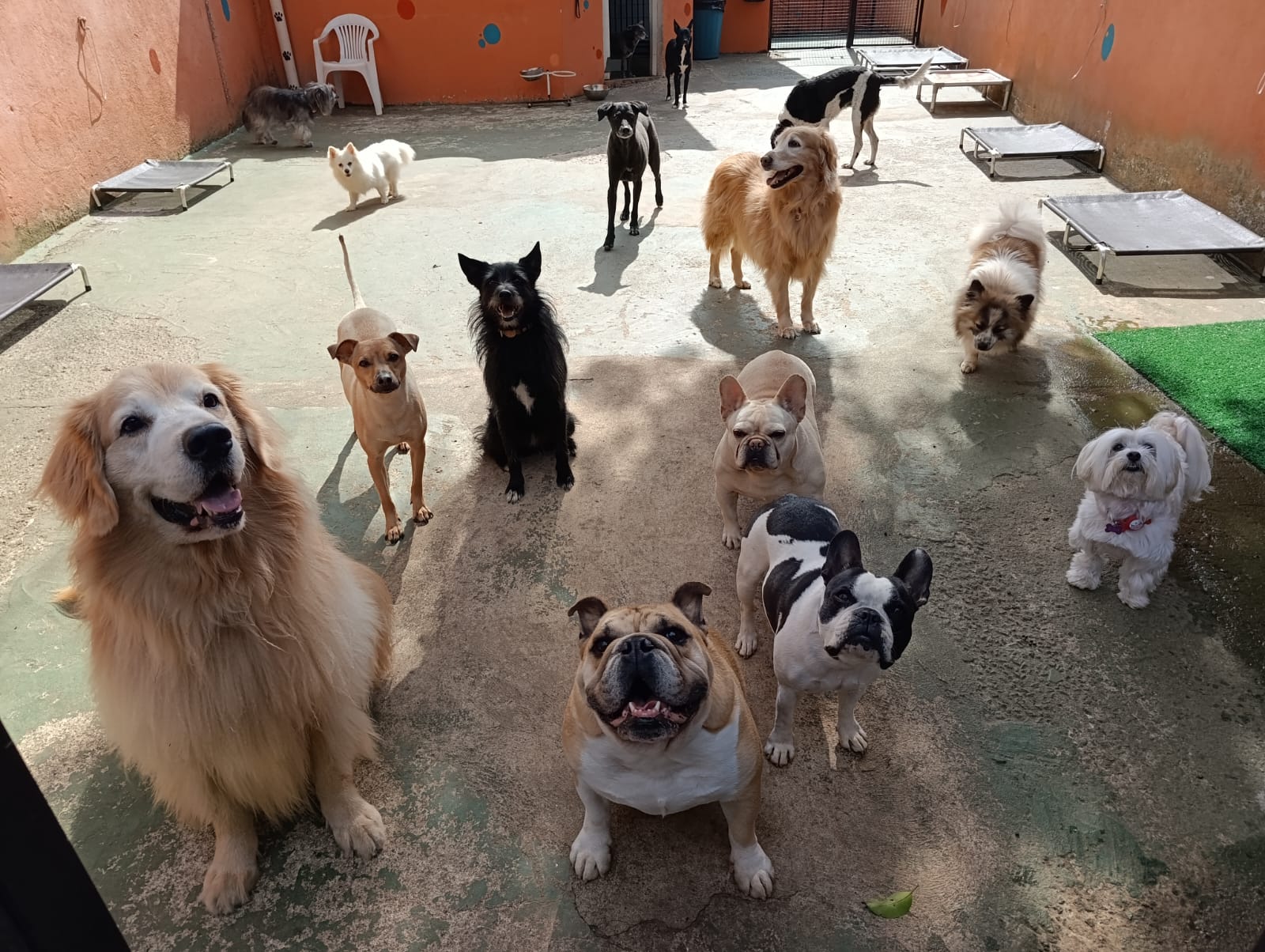 A turma toda ❤️