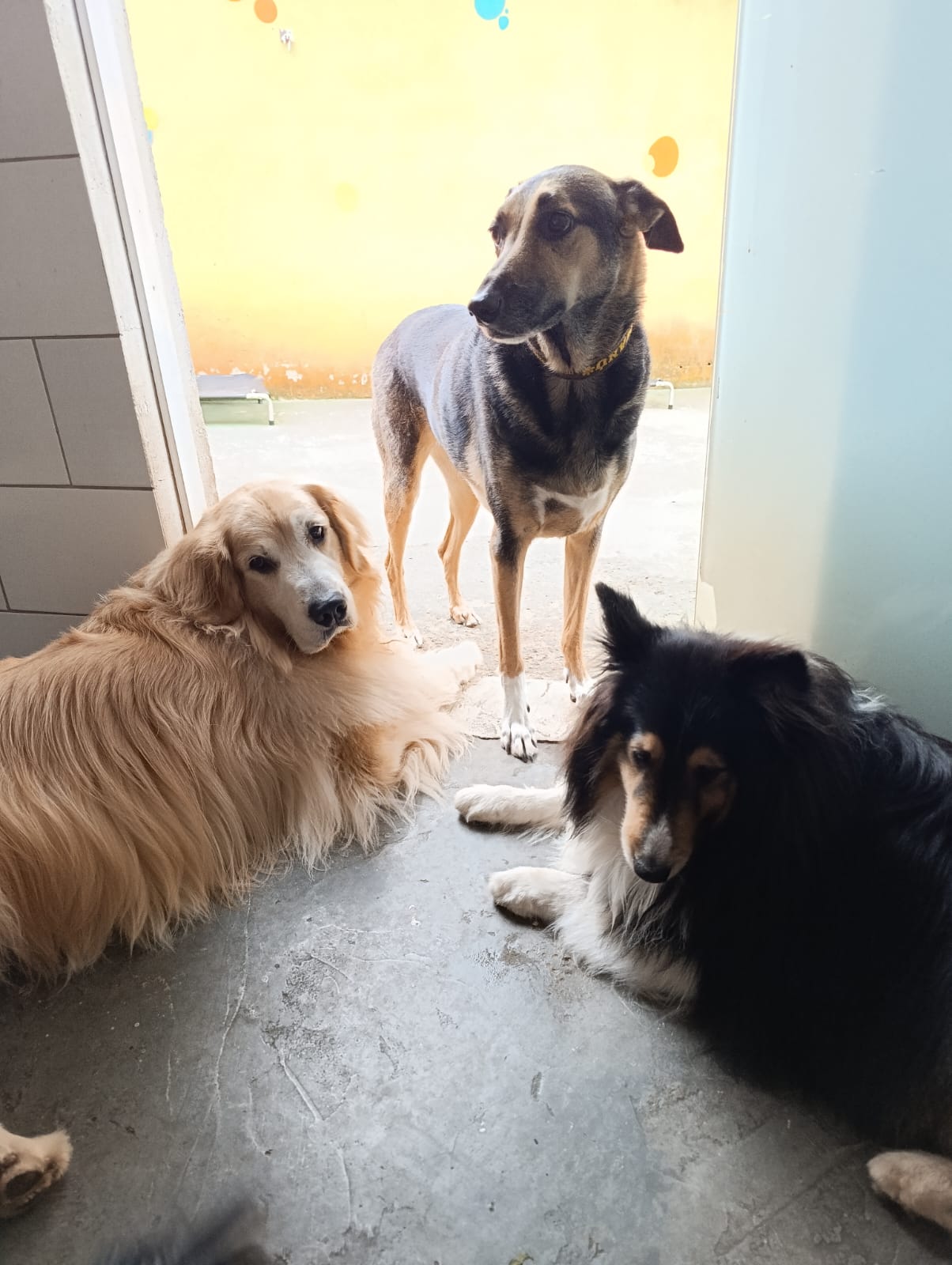 Os Guardiões da Porta