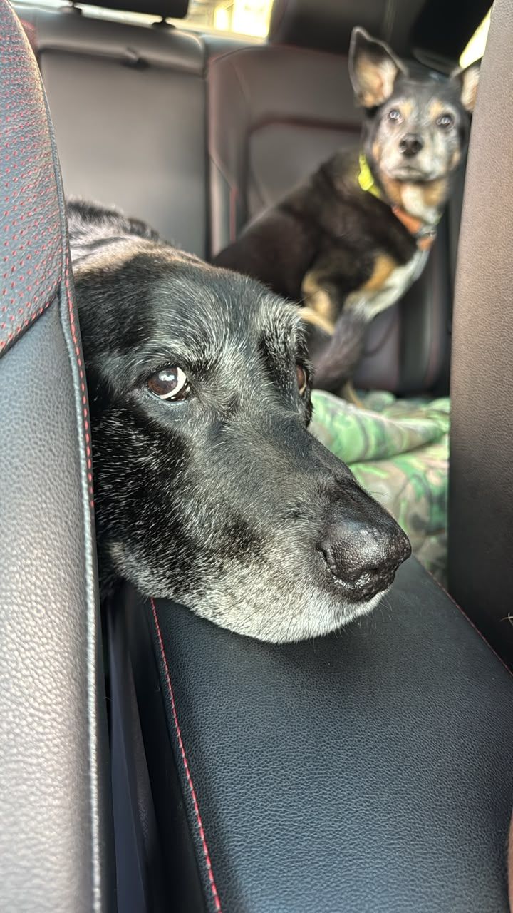 Boom dia, estamos a caminho 🥰♥️
