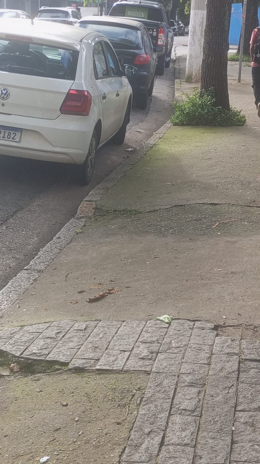 Pet na creche e clínica veterinária Animal House, em Santo André