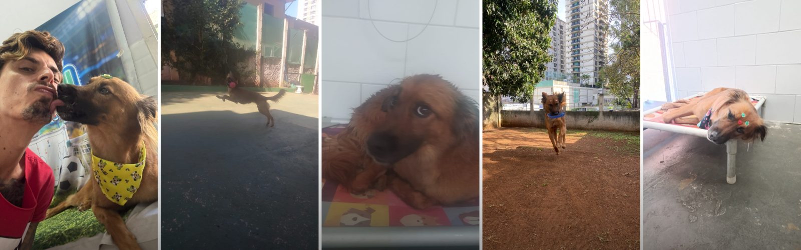 Foto de capa Cacau