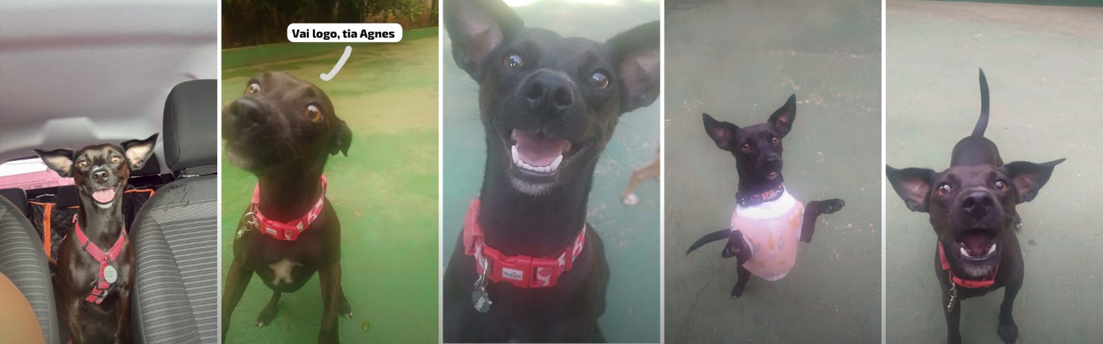 Foto de capa Capitu