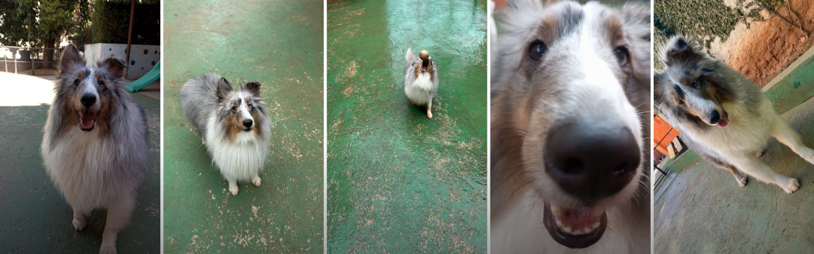 Foto de capa Duque