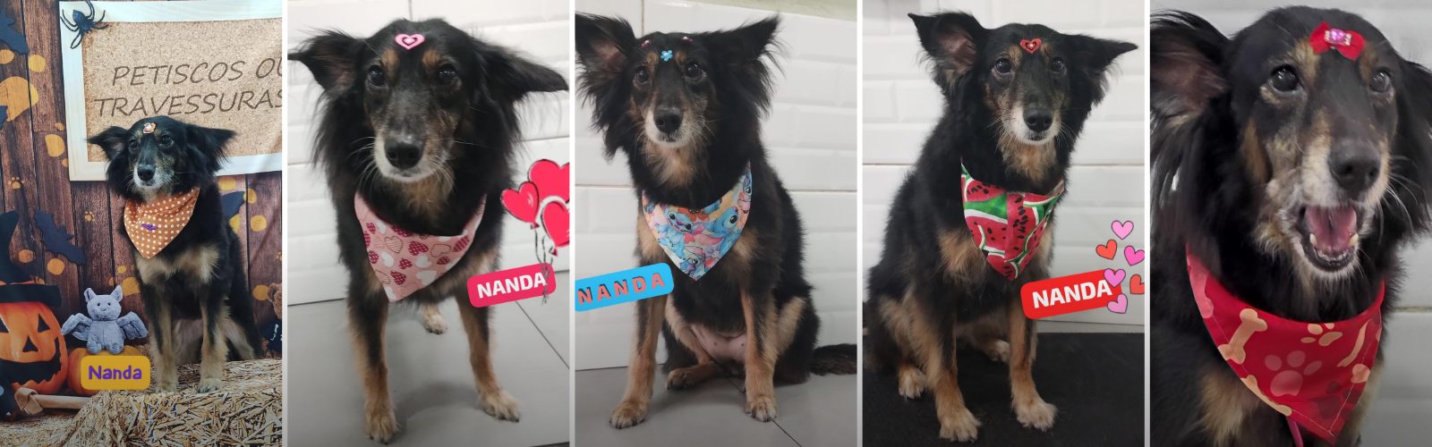 Foto de capa Nanda