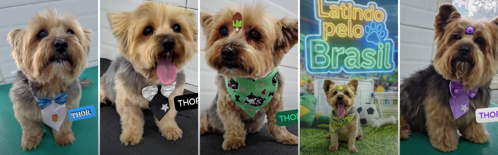 Foto de capa Thor